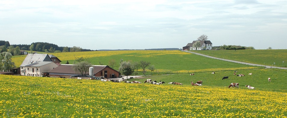 Ausblick auf einen Bauernhof und umliegende Wiesen