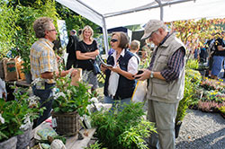 Verkaufsstand auf dem Bauernmarkt